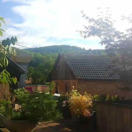 Spacieux Appartement Dans Le Centre De Munster マンステール エクステリア 写真