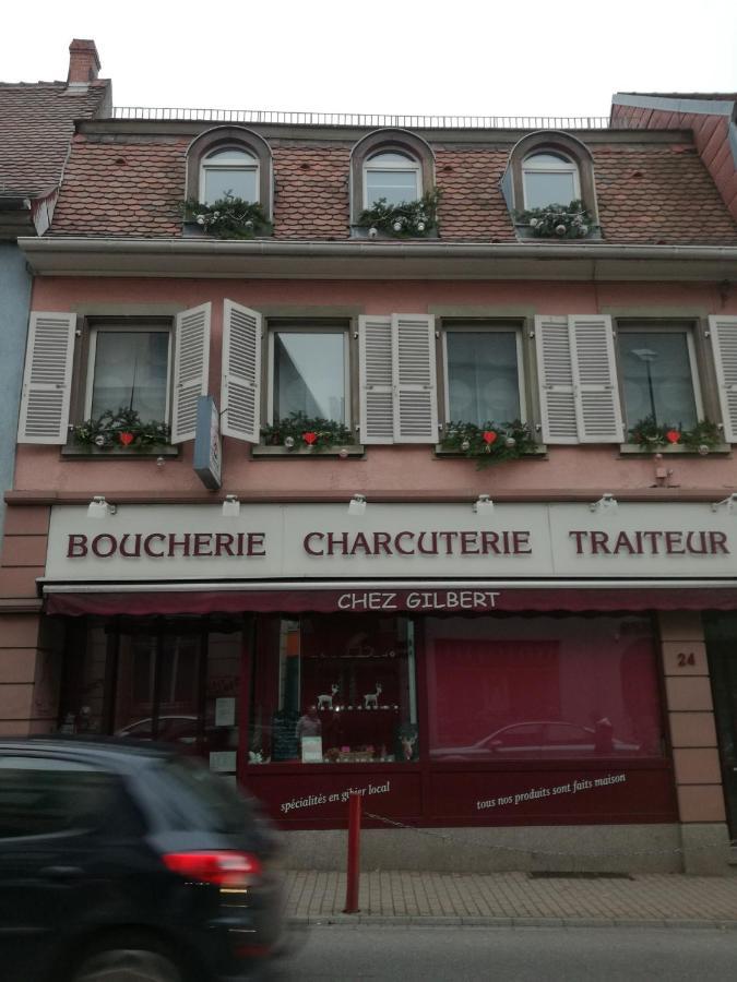 Spacieux Appartement Dans Le Centre De Munster マンステール エクステリア 写真
